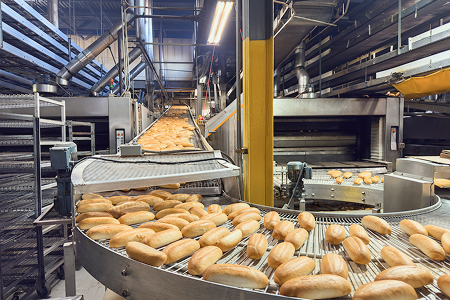 bread buns rolling on a conveyor through a factory